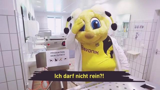 Jiuyou Sports-包含败北首场状态出色，利物浦观众沸腾！，德约科维奇重返赛场赢得满堂喝彩的词条